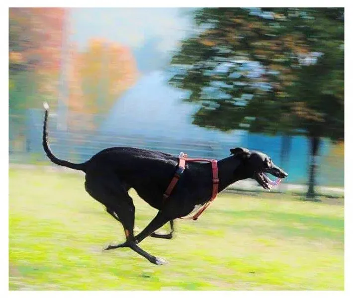 12196291 914080642009125 4855532029687086814 n