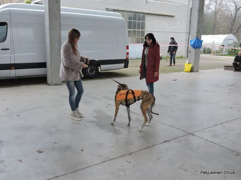 12208398 918532658230590 5734491720203079034 n