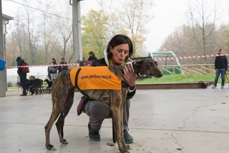 12208445 918487218235134 6226199600652251465 n