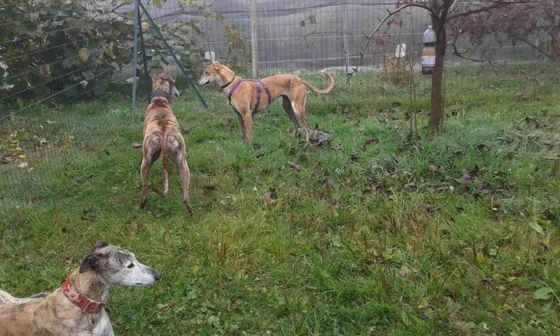 12208461 918412818242574 1068104320264000620 n