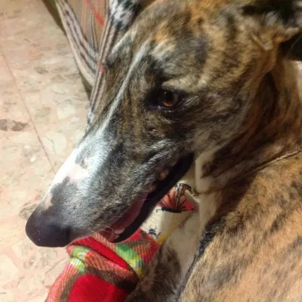 12208530 918284514922071 497037834291645040 n