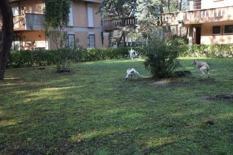 12208583 1485284825106702 404159665224457407 n