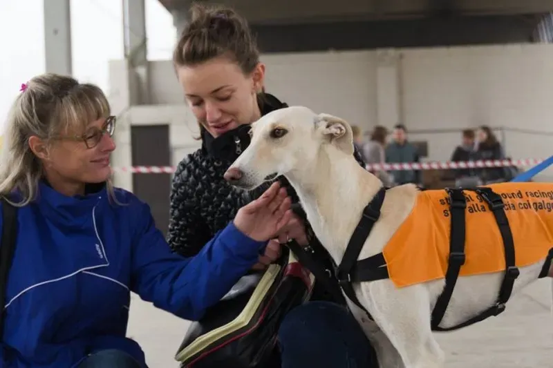 12208635 918487251568464 7303298698154447968 n