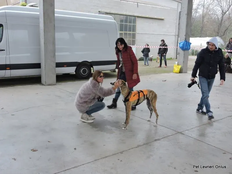 12208712 918532664897256 7011324922118607822 n