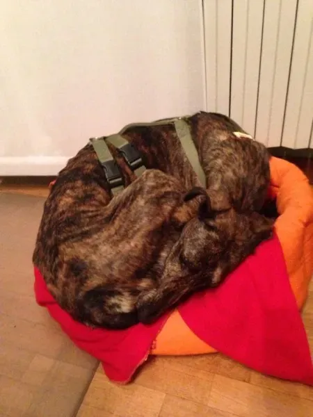 12208804 10207243637836619 1304985535283769652 n