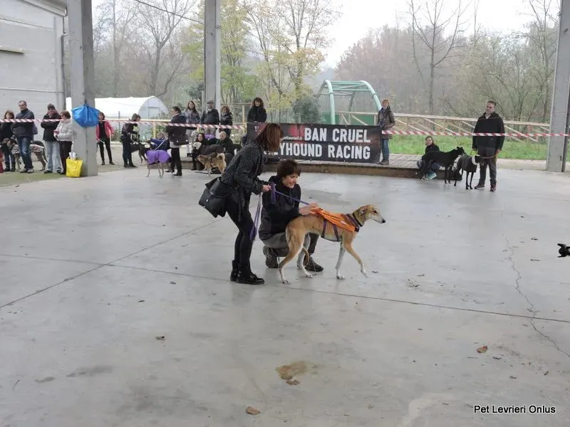 12208823 918529731564216 5068776677403718284 n