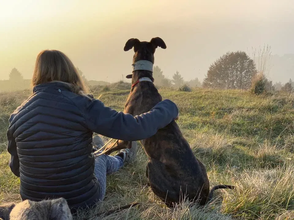 122148316 10221635118620426 585688566791167991 n