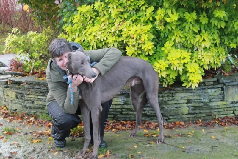 12218929 10153033767910194 1994362410 o