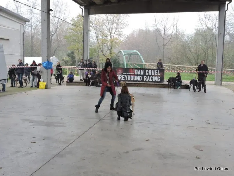 12219506 918529664897556 1456271842577412609 n