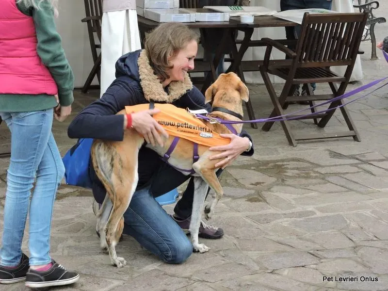 12219532 918535938230262 7191014058812319982 n