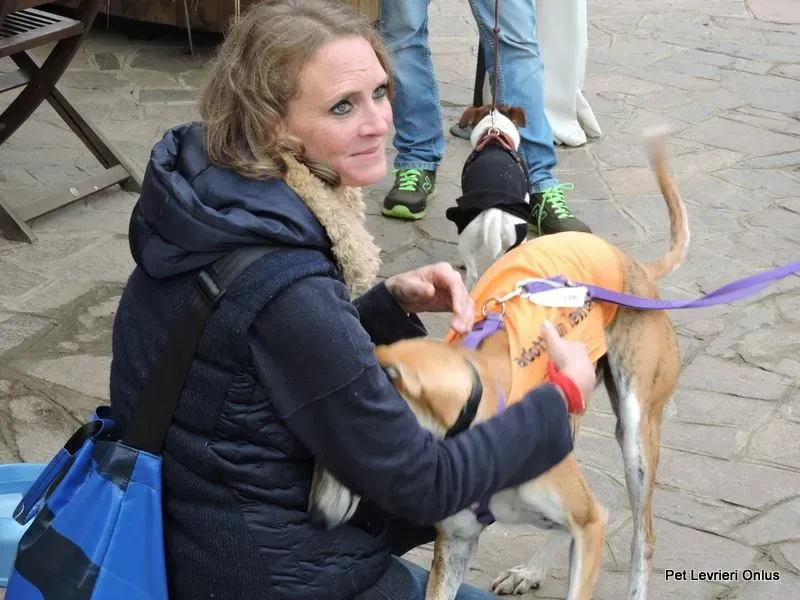 12219549 918536454896877 6517468912244884615 n