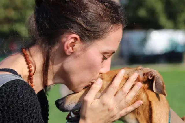 12219565 919282334822289 3397008968226455410 n