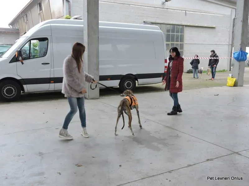 12219619 918532691563920 8308677939956714172 n