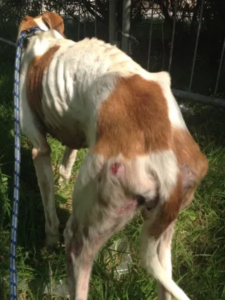 12226503 10153033741805194 600652682 n