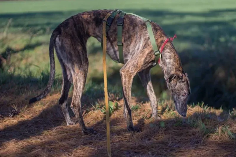 12226984 10207272167909853 760208007165284496 n