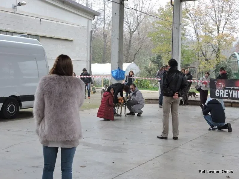 12227006 918532318230624 2320357332238812284 n