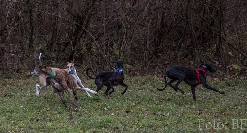 12227016 10207747467586223 3122914626031166298 n