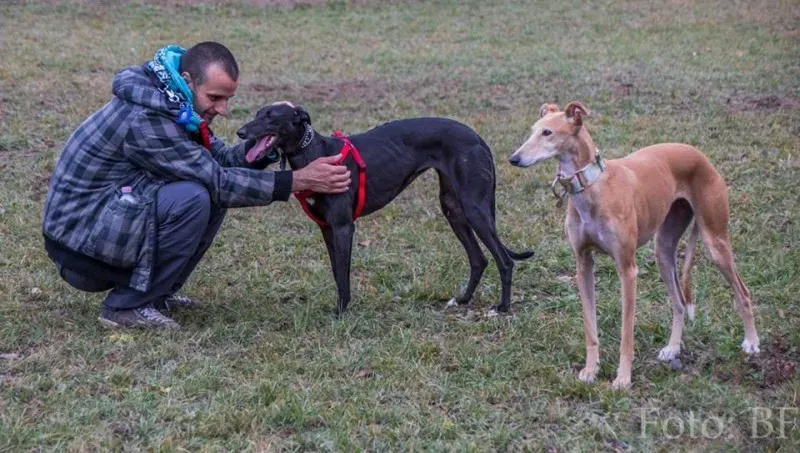 12227049 10207747467546222 5886853087369686065 n