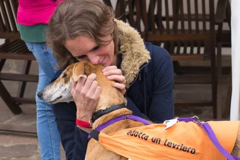 12227091 918487308235125 2403957235094972652 n