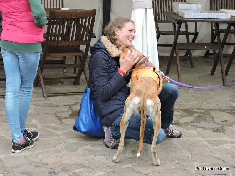 12227138 918536231563566 6544209202961670037 n