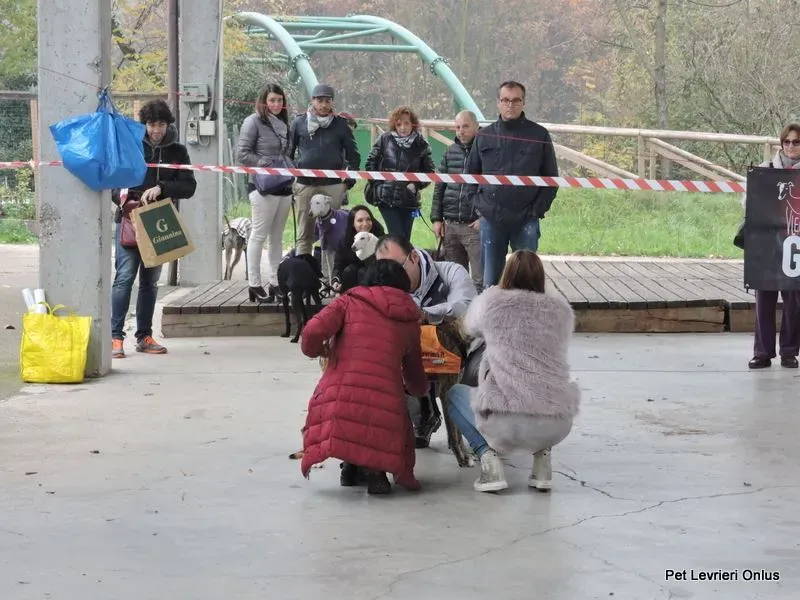 12227229 918532508230605 1595281912949575867 n