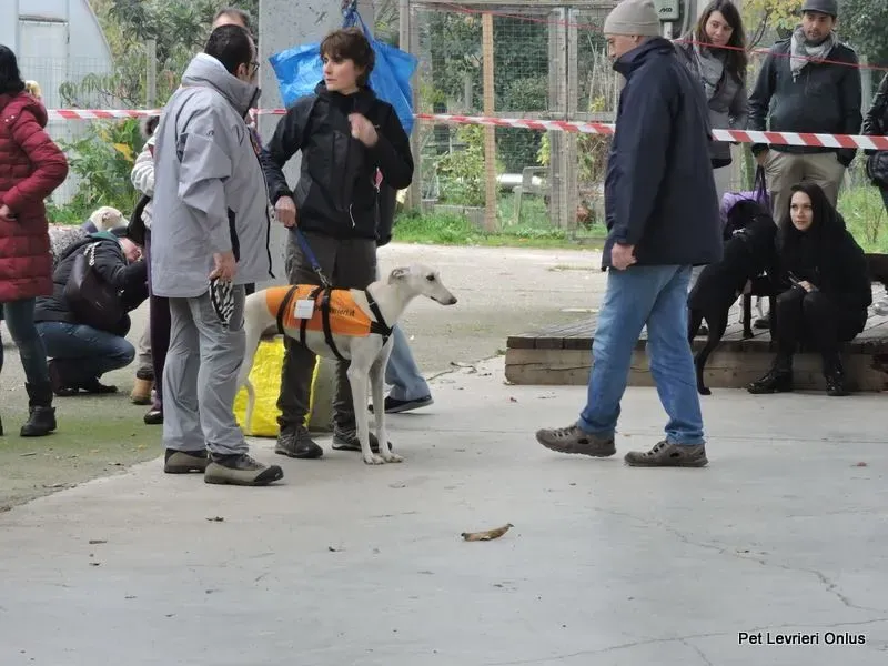 12227632 918531921563997 5511765587656626232 n