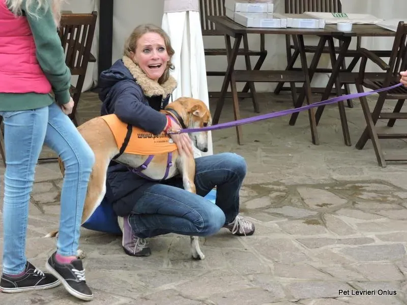 12227642 918536191563570 8387228785044676641 n