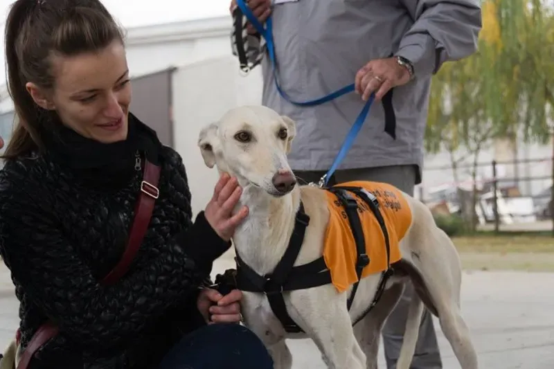 12227681 918487238235132 3907302614164614152 n