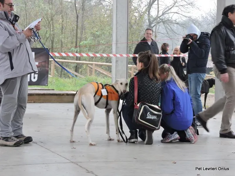 12227682 918532171563972 2076414650865101018 n