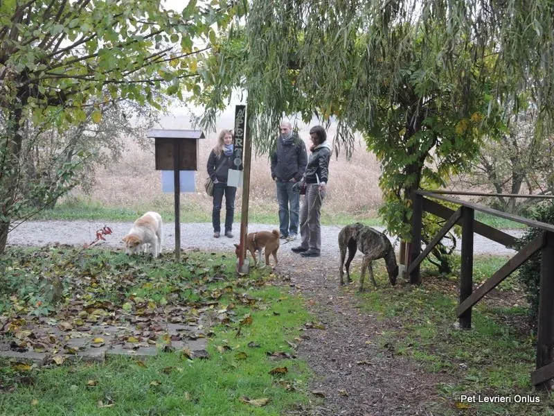 12227694 918538711563318 8879800598085410625 n