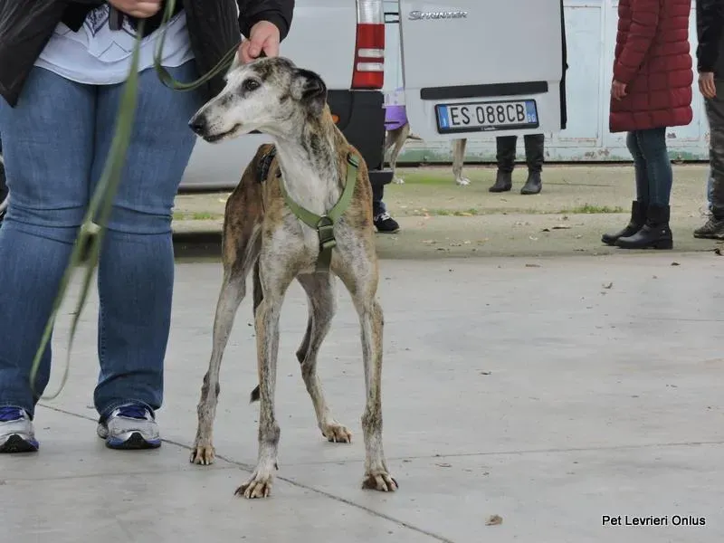 12227709 918530361564153 7134455811235032509 n