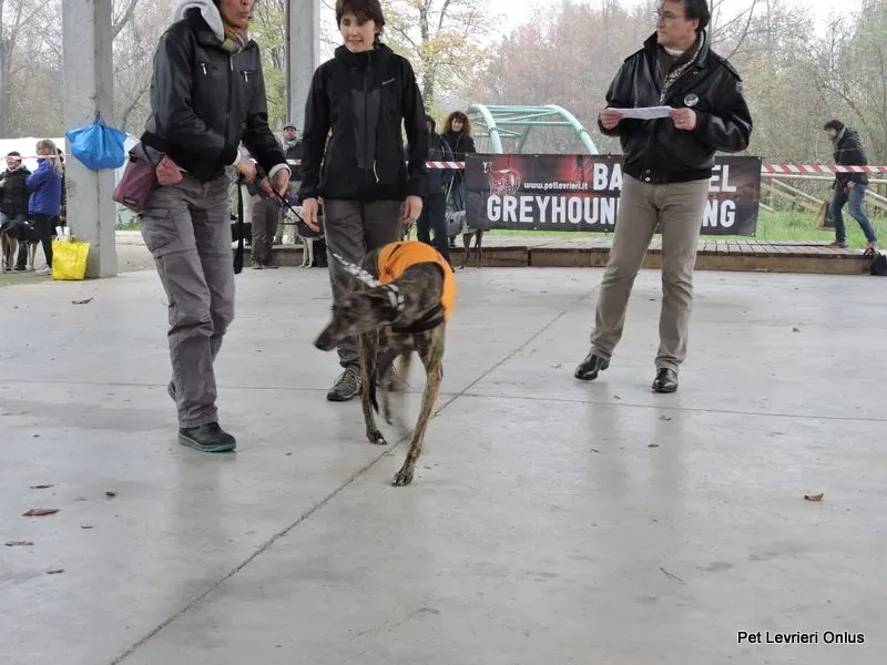 12227713 918531364897386 8200527740184328903 n