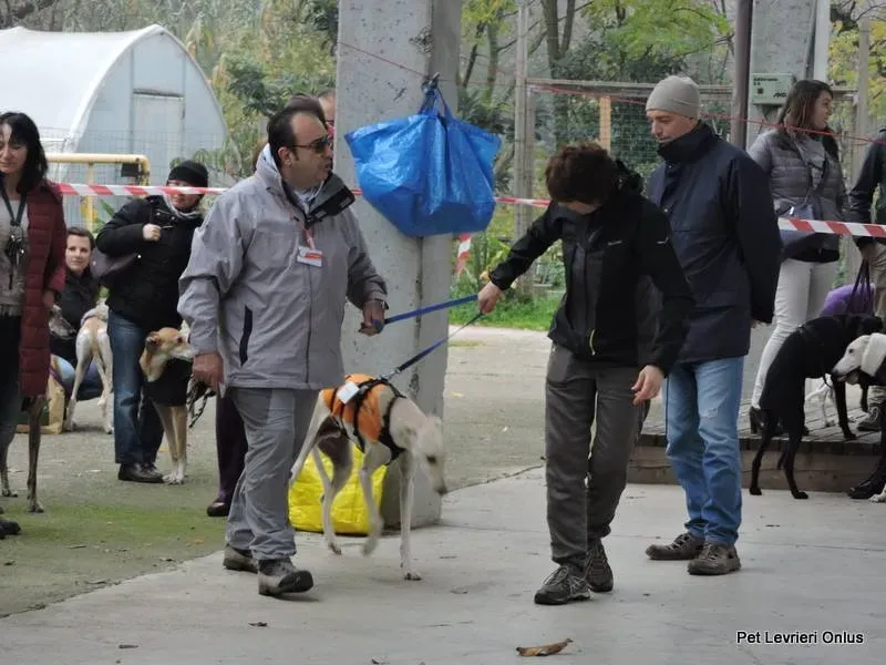 12227721 918531994897323 657270569455098654 n