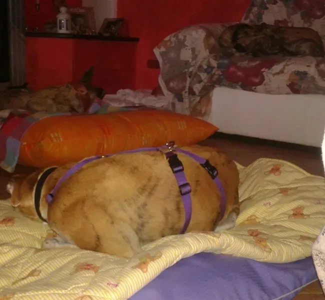 12227762 918286374921885 3156336583604134297 n