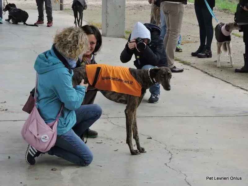 12227772 918531538230702 9111483389395557766 n