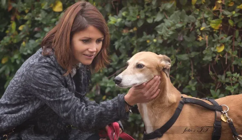 12232681 918296491573088 7379283616923985663 o