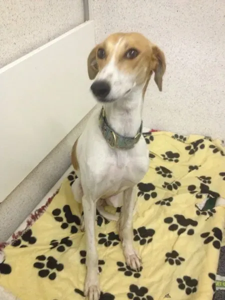 12233151 10153033753485194 85298758 n