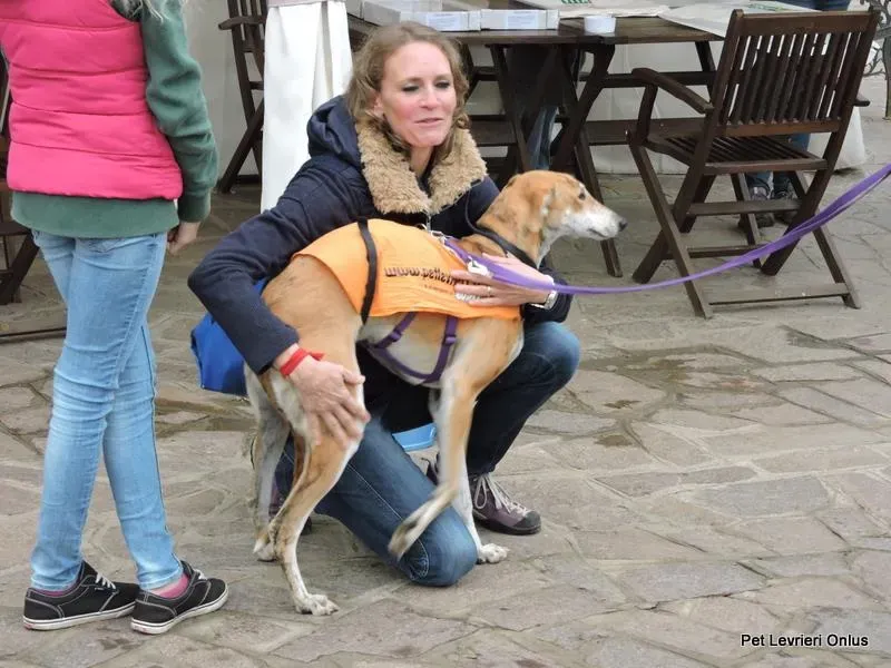 12235005 918535911563598 963270959963857848 n