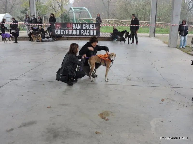 12235037 918529918230864 7907937044420451128 n