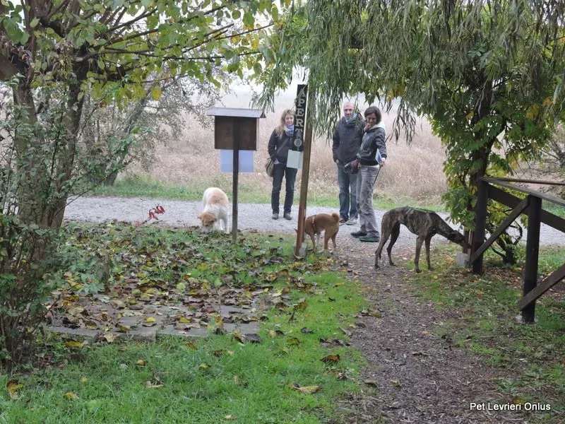 12235045 918538634896659 2638610681353921225 n