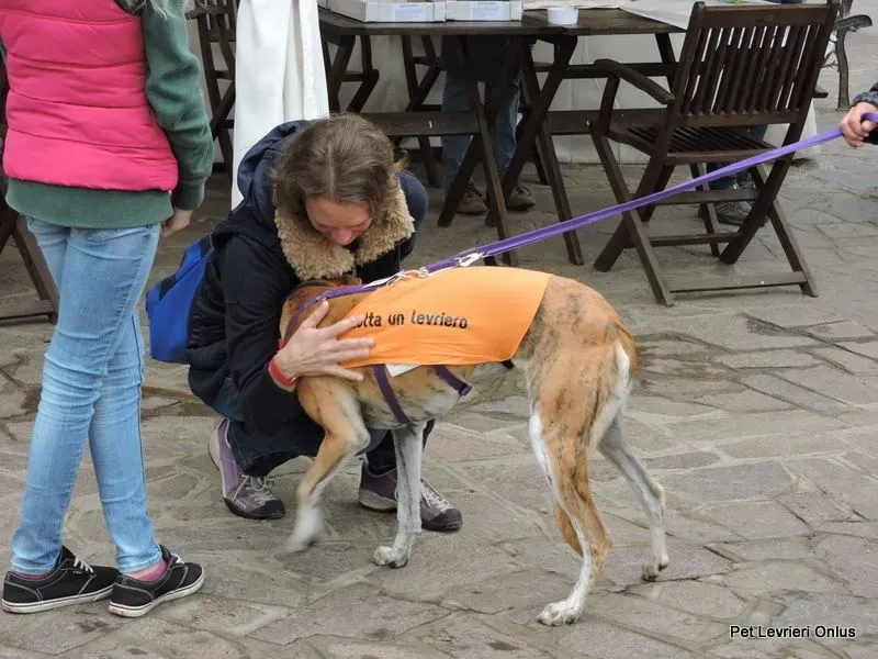 12239510 918535841563605 4337412324273957990 n