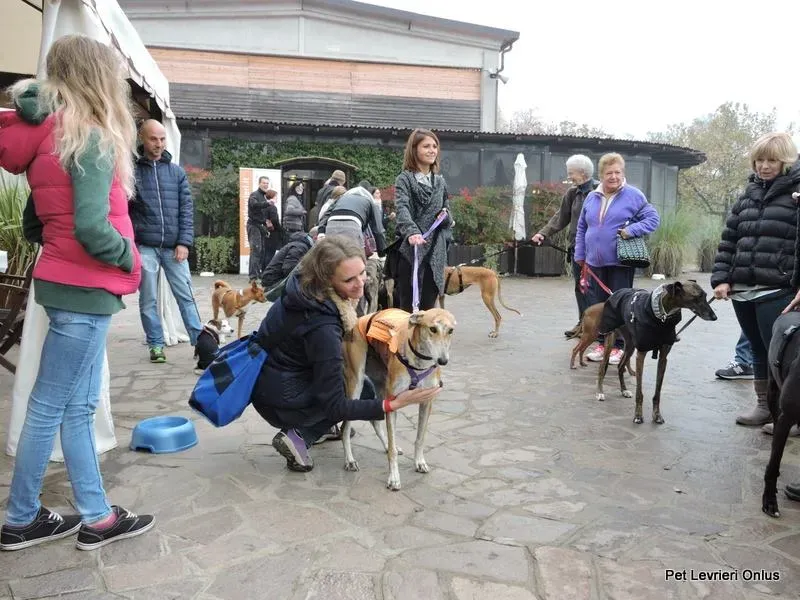 12239561 918536524896870 8036591807462577121 n