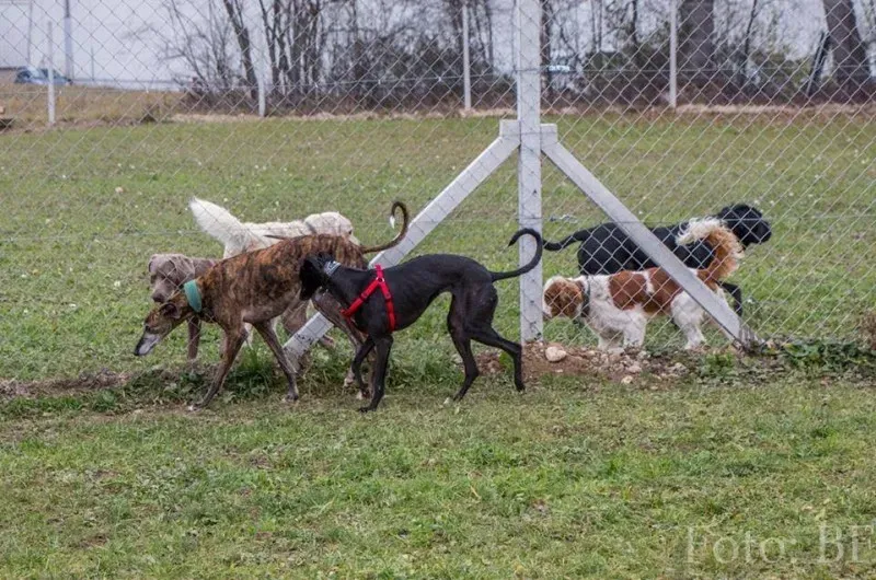 12239593 10207747469506271 8493541567614916475 n