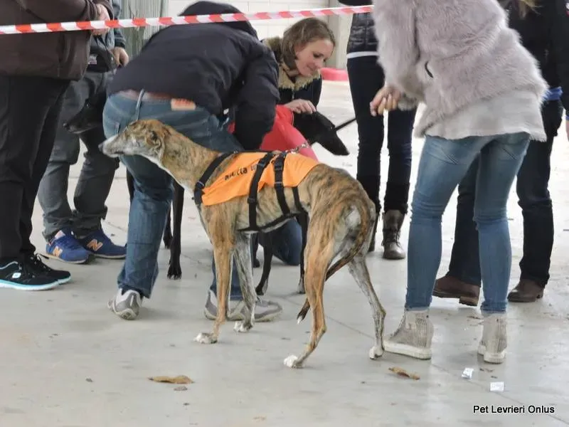 12239645 918533341563855 1876190905910184474 n