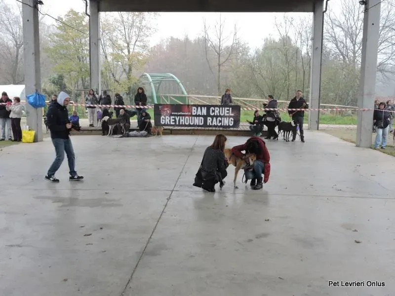 12239698 918529618230894 7018823758242634597 n