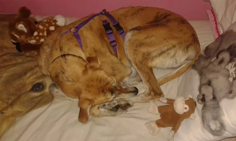 12239726 10206374797786078 8135988069801687042 n