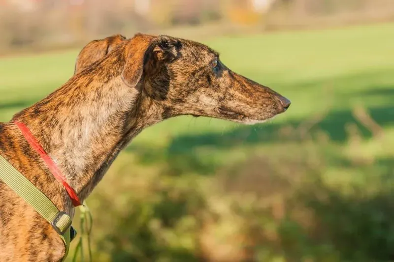 12239742 10207272174350014 1042802037452905907 n