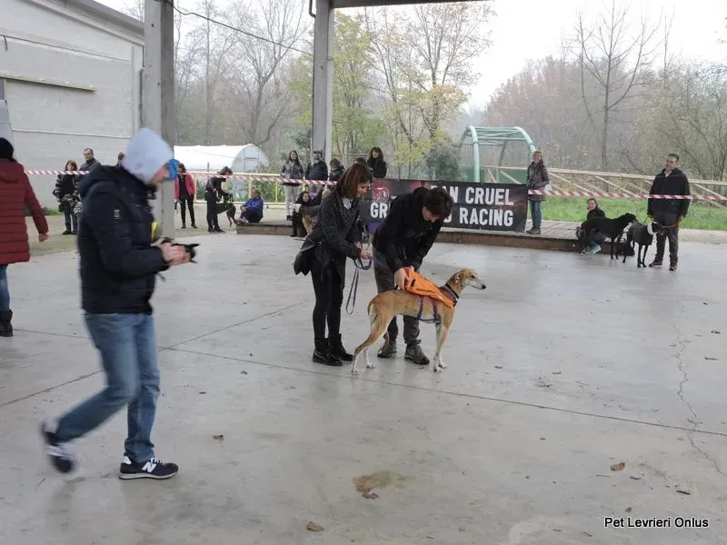 12239869 918529711564218 7325322288840399887 n