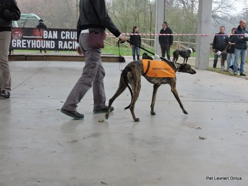 12239910 918531441564045 2346824862947939984 n