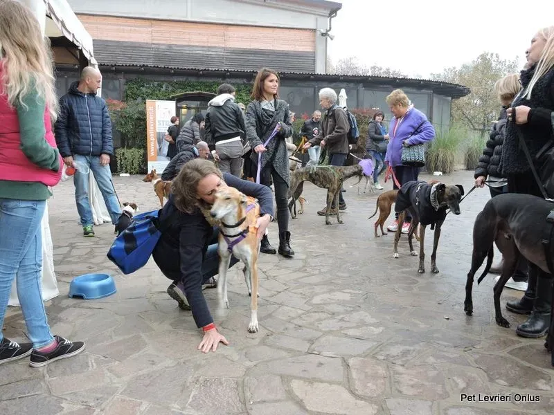 12239945 918536578230198 2727699347541027114 n